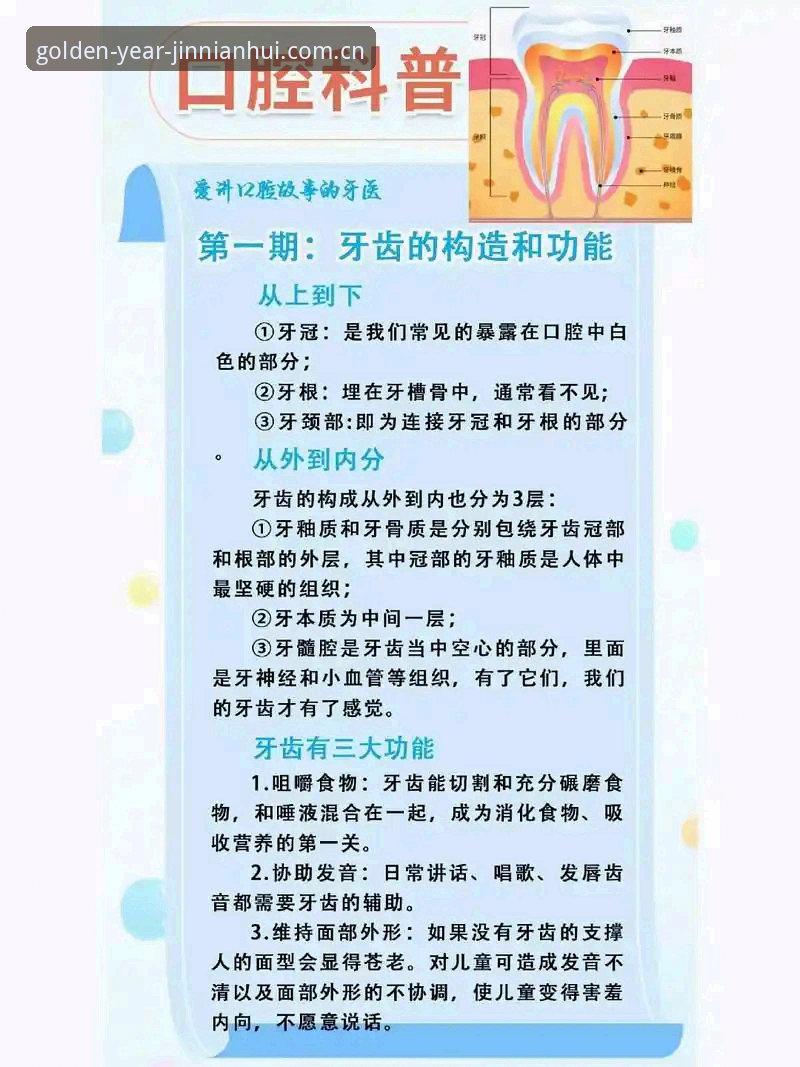 金年汇使用教程安全吗？从功能到体验的全面剖析